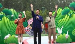 亮哥美食爆料视频大全最新,最新视频大全精彩回顾