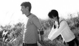 电视剧山楂树之恋在线观看完整版,纯真年代的爱情史诗