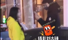 刘大锤爆料后续视频大全,揭秘事件真相与精彩瞬间